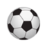 皇家科罗拉多狐狸